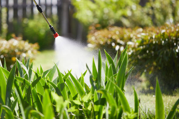 24/7 Emergency Ant Control experts in Lynchburg, OH