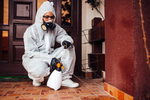 Reliable Ant Control contractor in Lynchburg, OH by Nex Pest Control